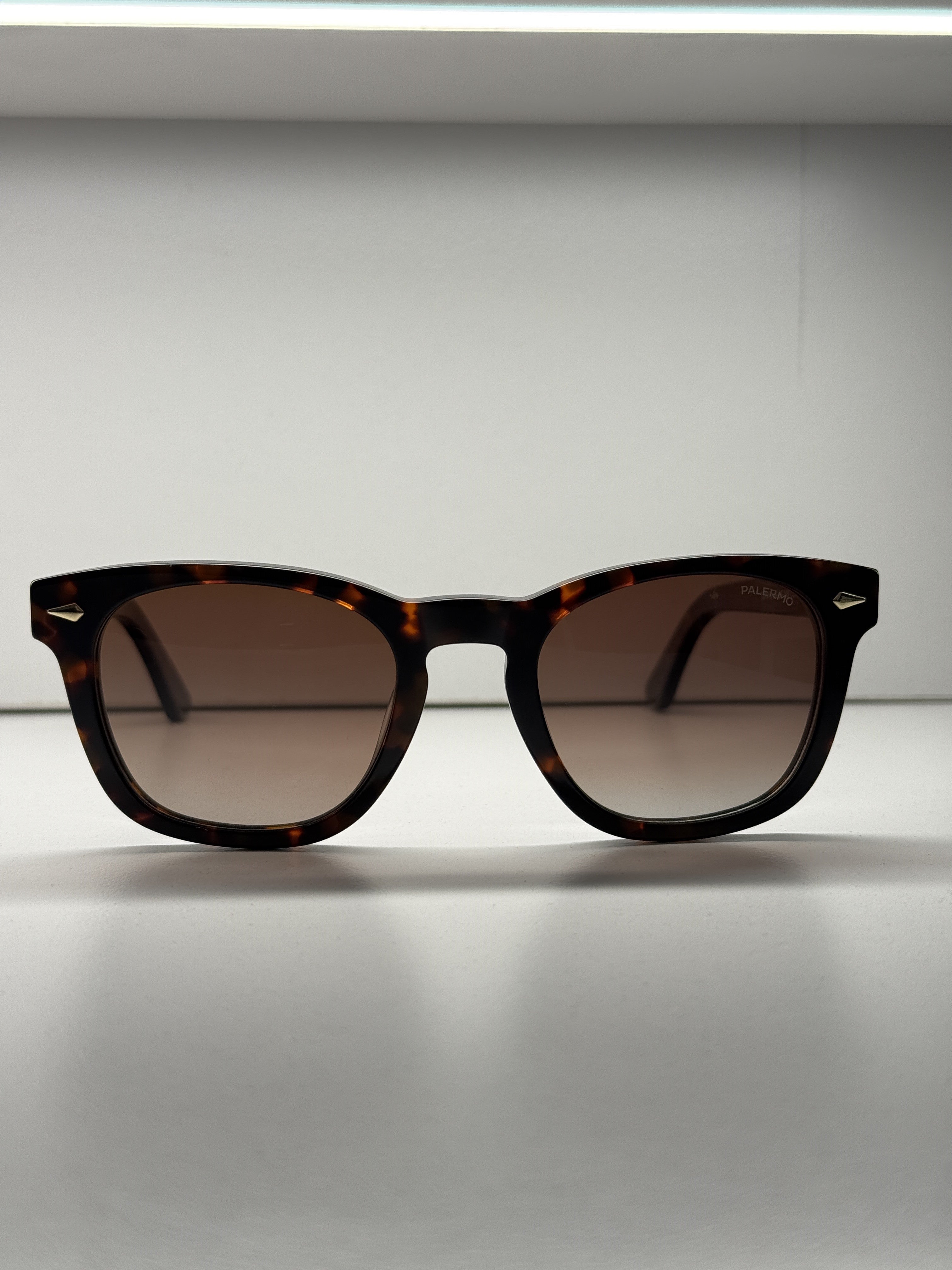 Brown sunglasses-SS74713